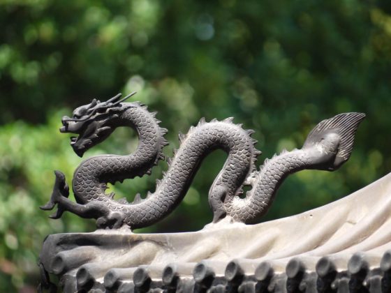 Dragon tears workshop