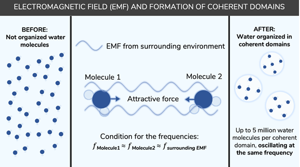 EMF coherence field formation