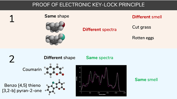 Proof of electronic molecular key principle