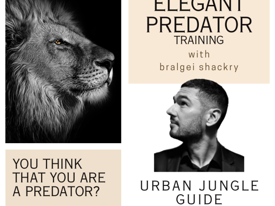Private Practice vs. Theory 2.0 - THE ELEGANT PREDATOR