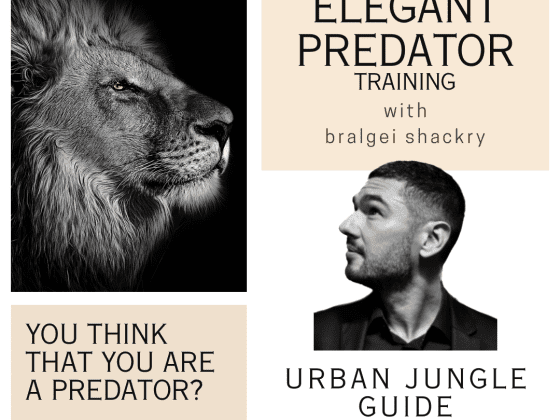 Private Practice vs. Theory 2.0 - THE ELEGANT PREDATOR