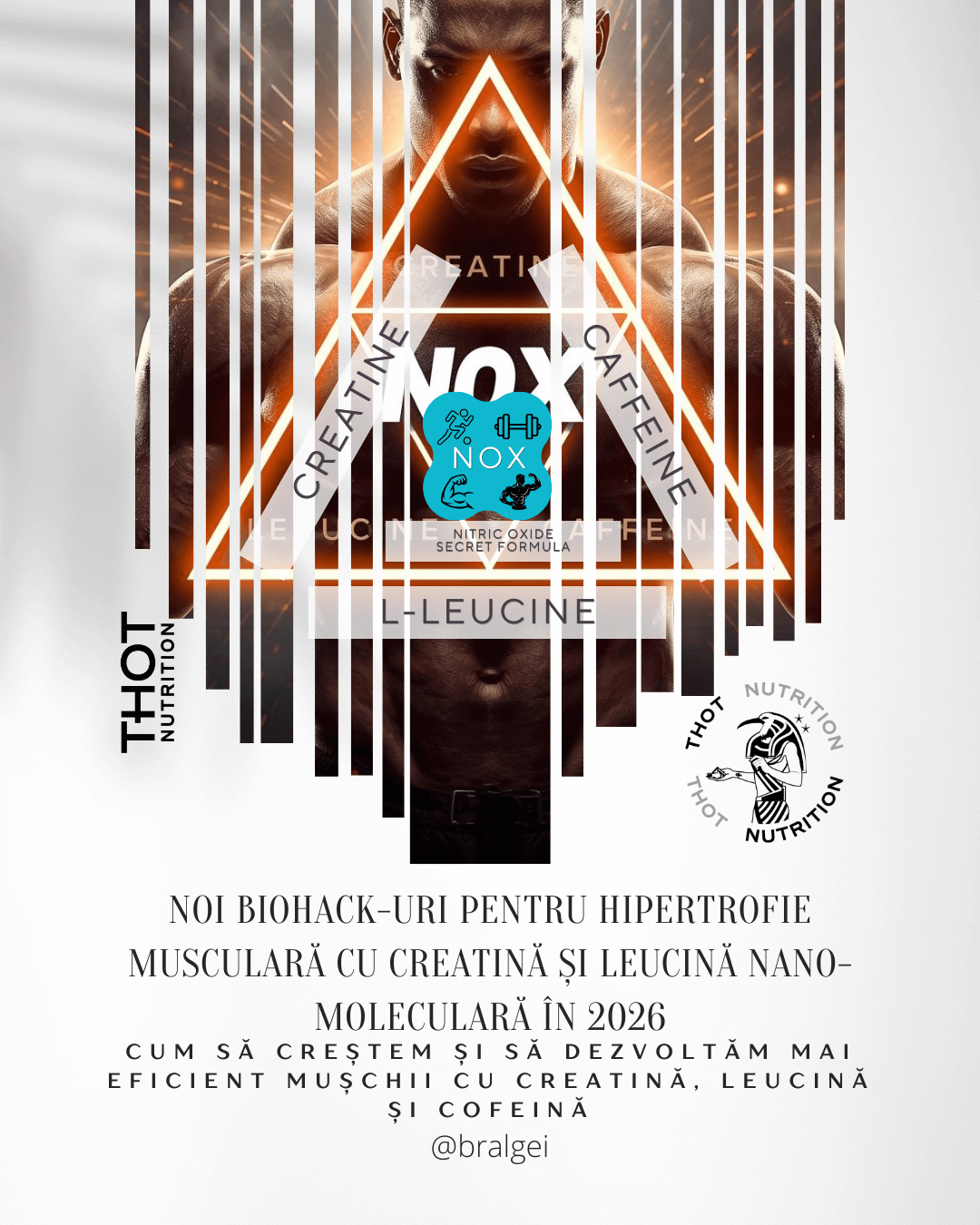 Noi biohack-uri pentru hipertrofie musculară cu creatină și leucină nano-moleculară în 2026 4 Hipertrofie