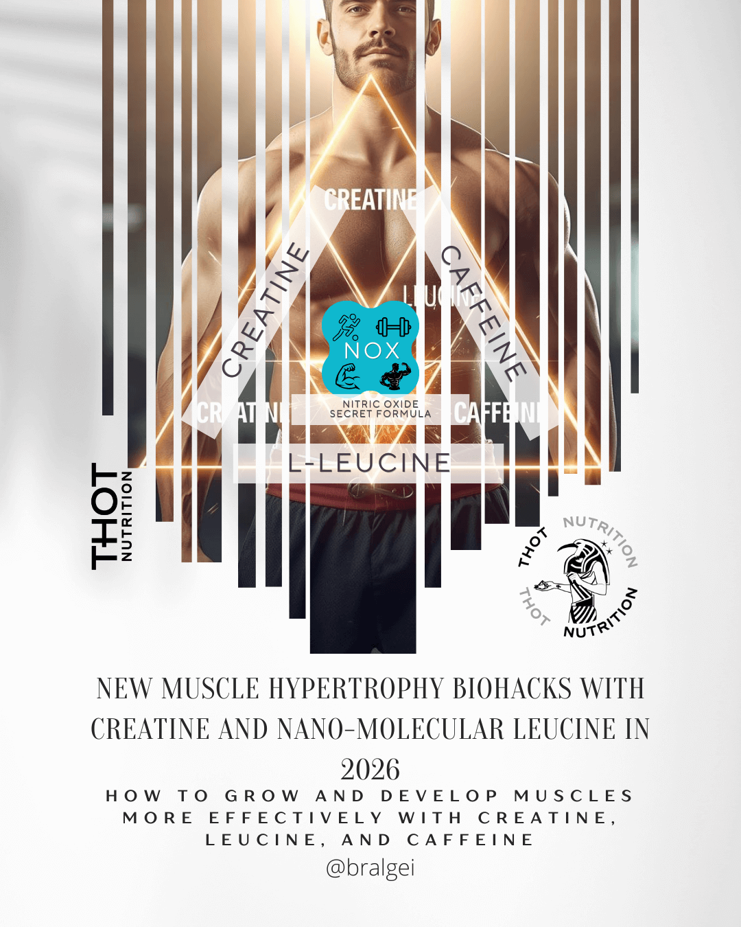 New muscle hypertrophy biohacks with creatine and nano-molecular leucine in 2026 3 New