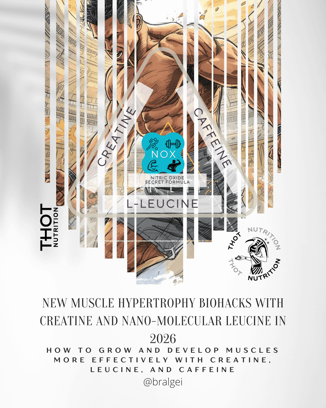 New muscle hypertrophy biohacks with creatine and nano-molecular leucine in 2026 4 New