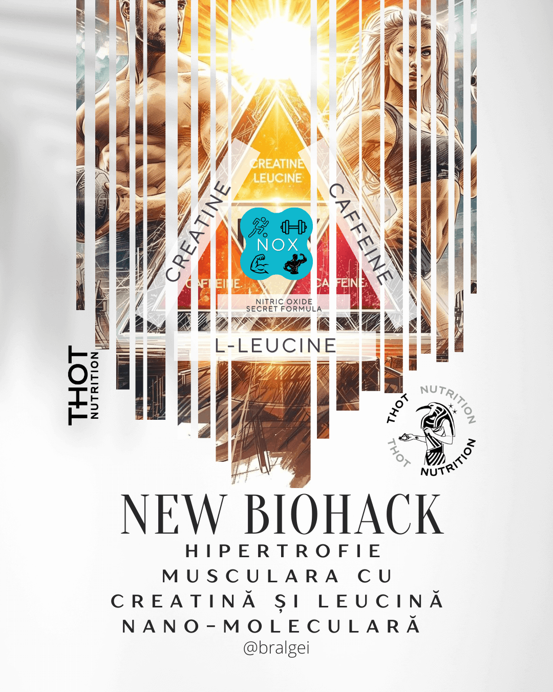 Noi biohack-uri pentru hipertrofie musculară cu creatină și leucină nano-moleculară în 2026 5 Hipertrofie