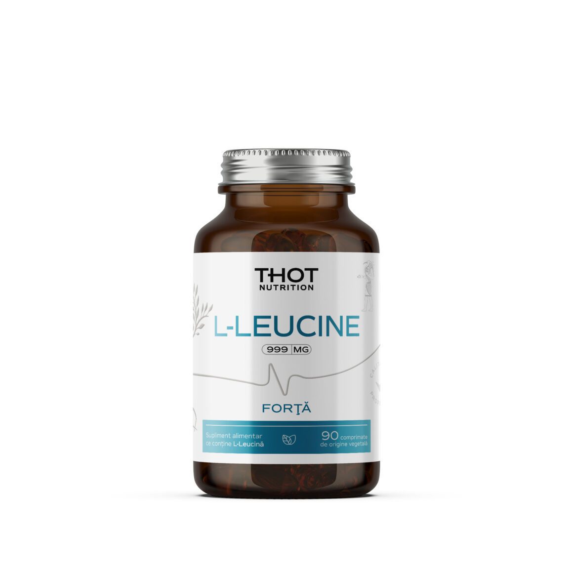 New muscle hypertrophy biohacks with creatine and nano-molecular leucine in 2026 2 class=class="wp-image-32997