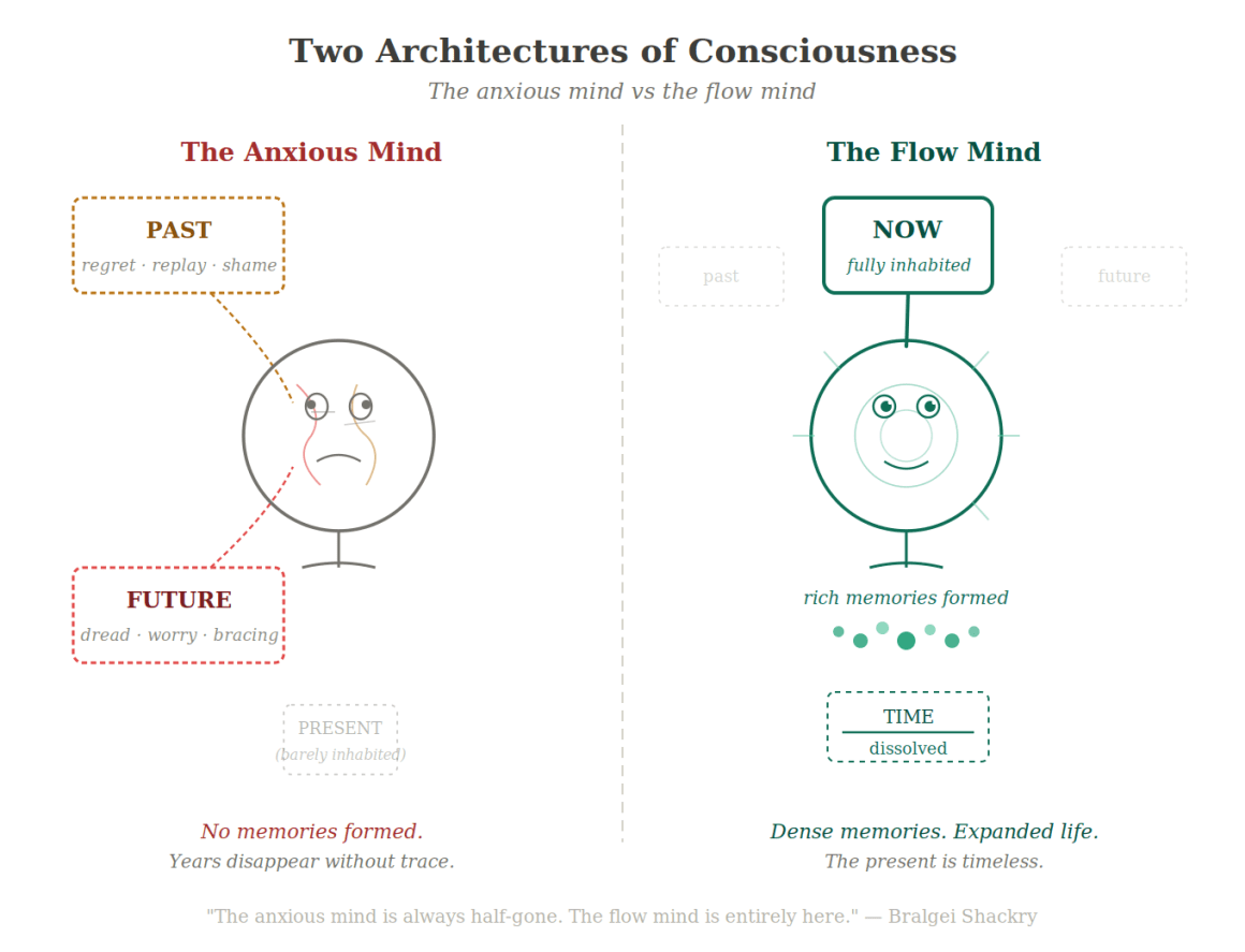 Emotions and Time Paradox - 2026 4 class=class="wp-image-33167