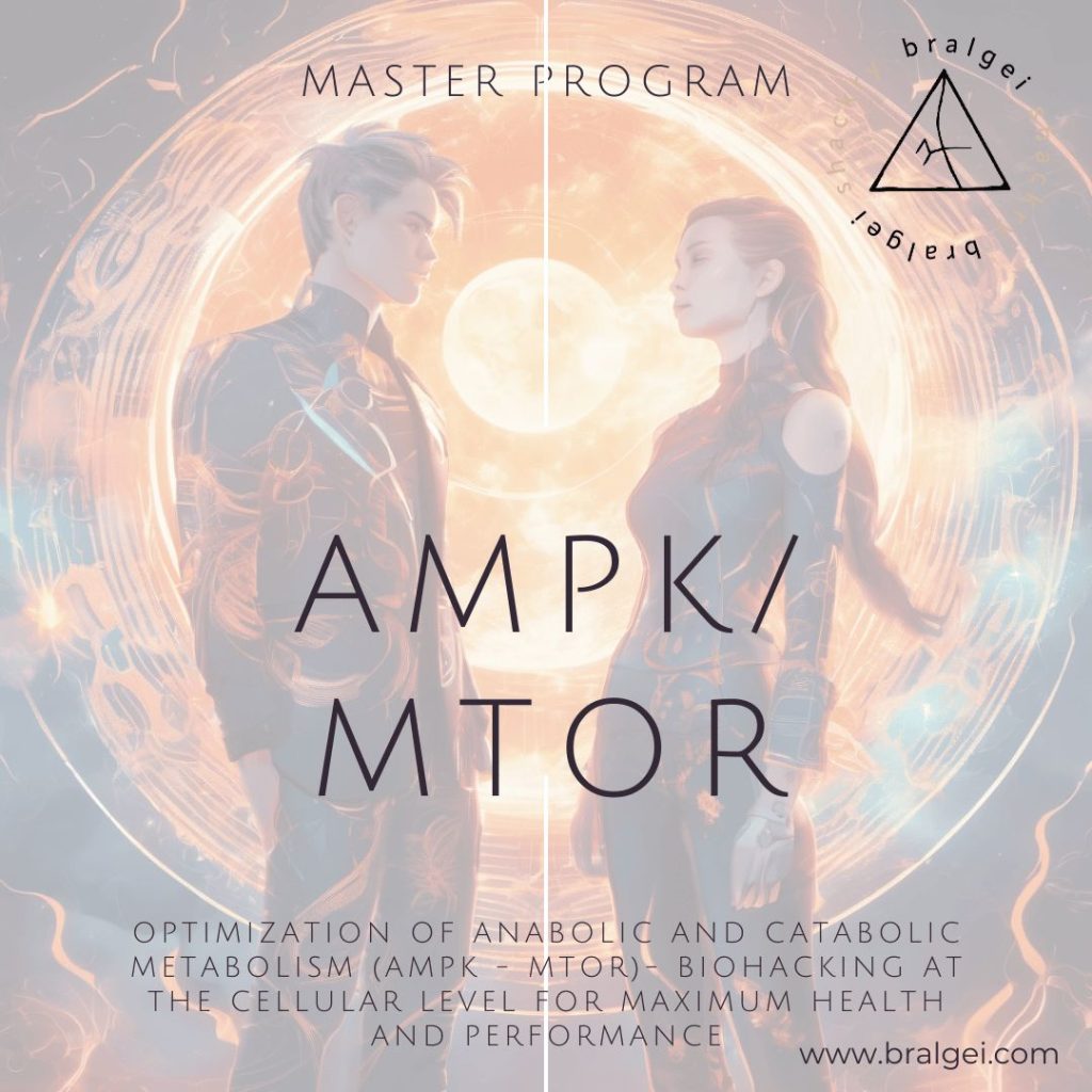 AMPKMtor-Master-Program_04-compressed_EN