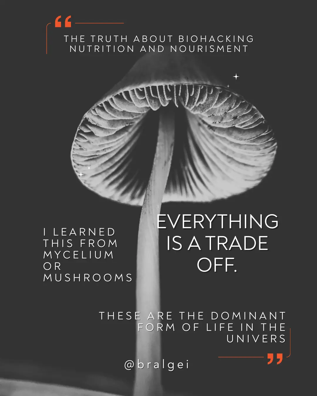 Law 4 -- Everything Is a Trade-off