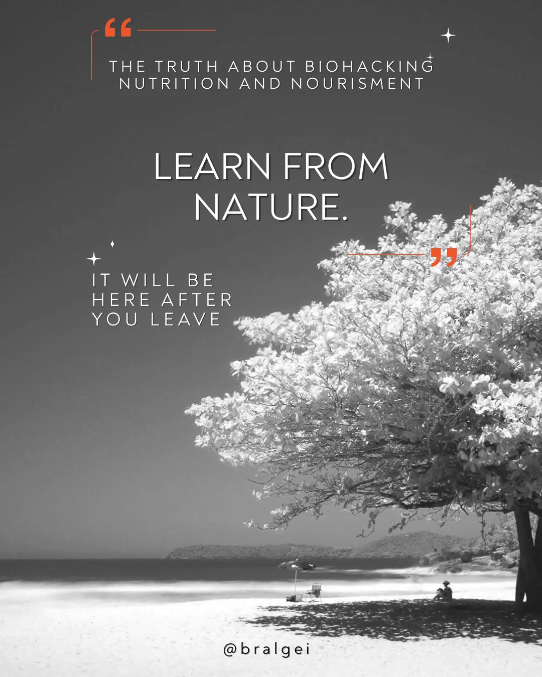 Law 5 -- Learn from Nature