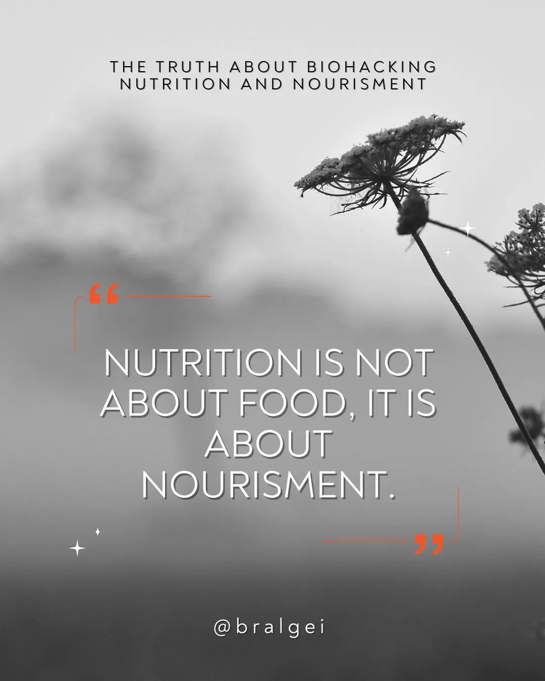 Law 6 -- Nutrition Is About Nourishment